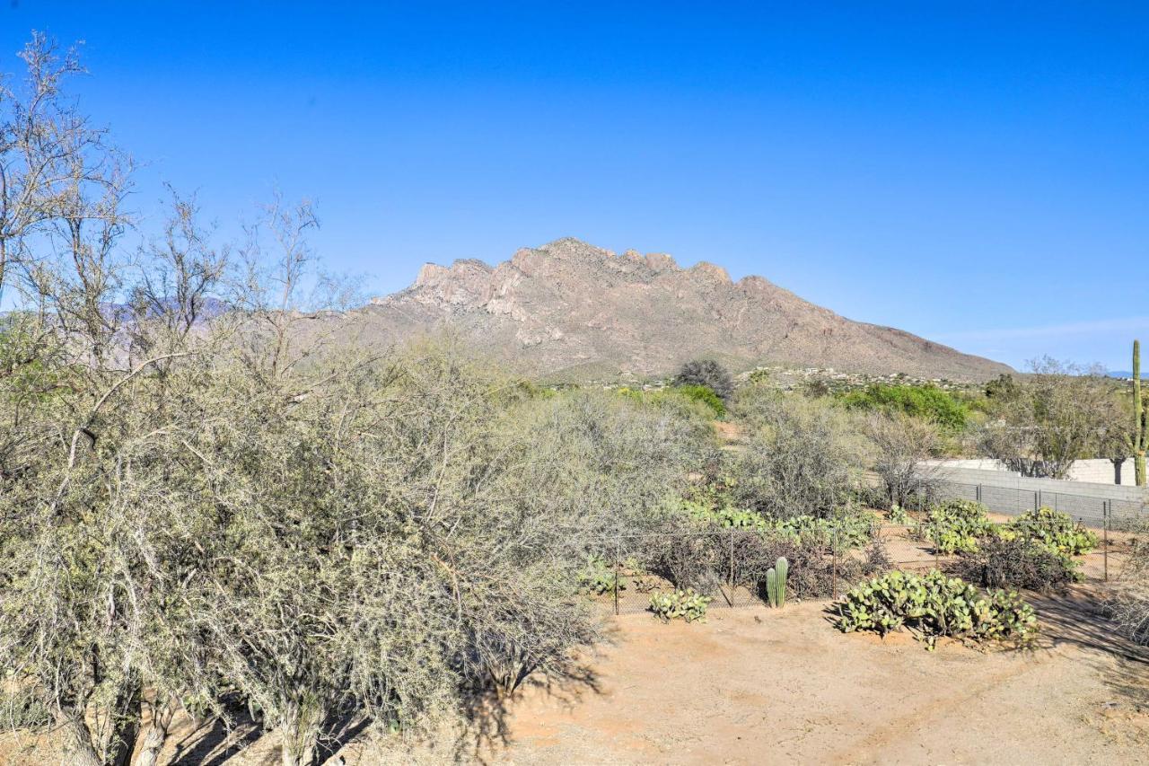 Oro Valley Retreat With Pool, Spa And Rooftop Views! Bagian luar foto